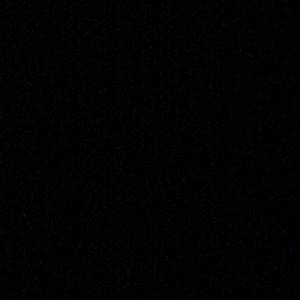 Meet your Posher, Wesley